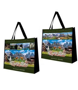 Shopping Bag 40x40x16cm Dolomiti Mehrbild grün