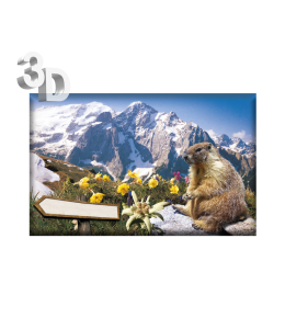 3D Magnete Sommer Landschaft & Schleife 8,4cm x 5cm