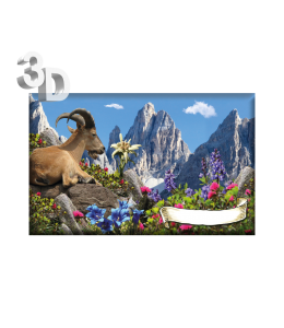 3D Magnete Sommer Landschaft & Schleife 8,4cm x 5cm