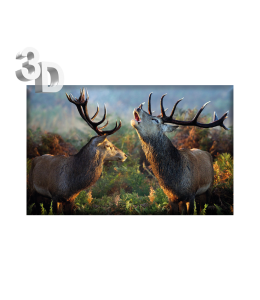 3D Magnete Sommer Landschaft & Schleife 8,4cm x 5cm