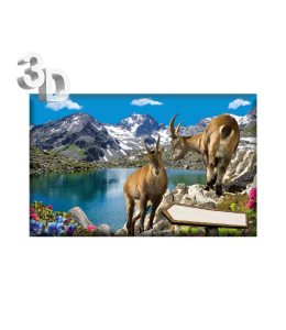 3D Magnete Sommer Landschaft & Schleife 8,4cm x 5cm