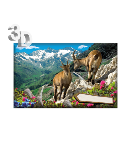 3D Magnete Sommer Landschaft & Schleife 8,4cm x 5cm