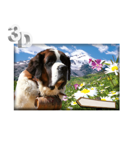 3D Magnete Sommer Landschaft & Schleife 8,4cm x 5cm
