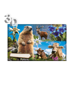 3D Magnete Sommer Landschaft & Schleife 8,4cm x 5cm