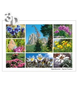 3D Ansichtskarten gross Sommer 16x11cm