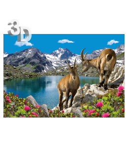 3D Ansichtskarten gross Sommer 16x11cm