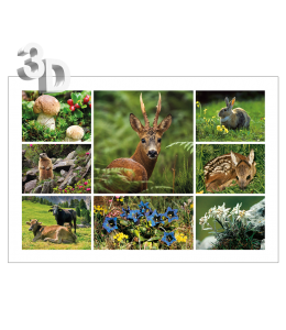 3D Ansichtskarten gross Sommer 16x11cm