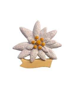 Souvenir Magnet Edelweiss mit Schleife