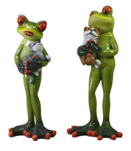 "Happy Frogs" 17x8 cm Tierliebe 2 fach sort.