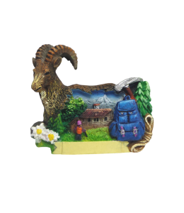 Souvenir Magnet Steinbock Sommer & Schleife